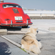 Illustration for article titled Japans Parking Lot Car Meets Are Weird And Wonderful Even In The Middle Of The Day